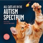 All cats are on the autism spectrum. Kathy Hoopmann